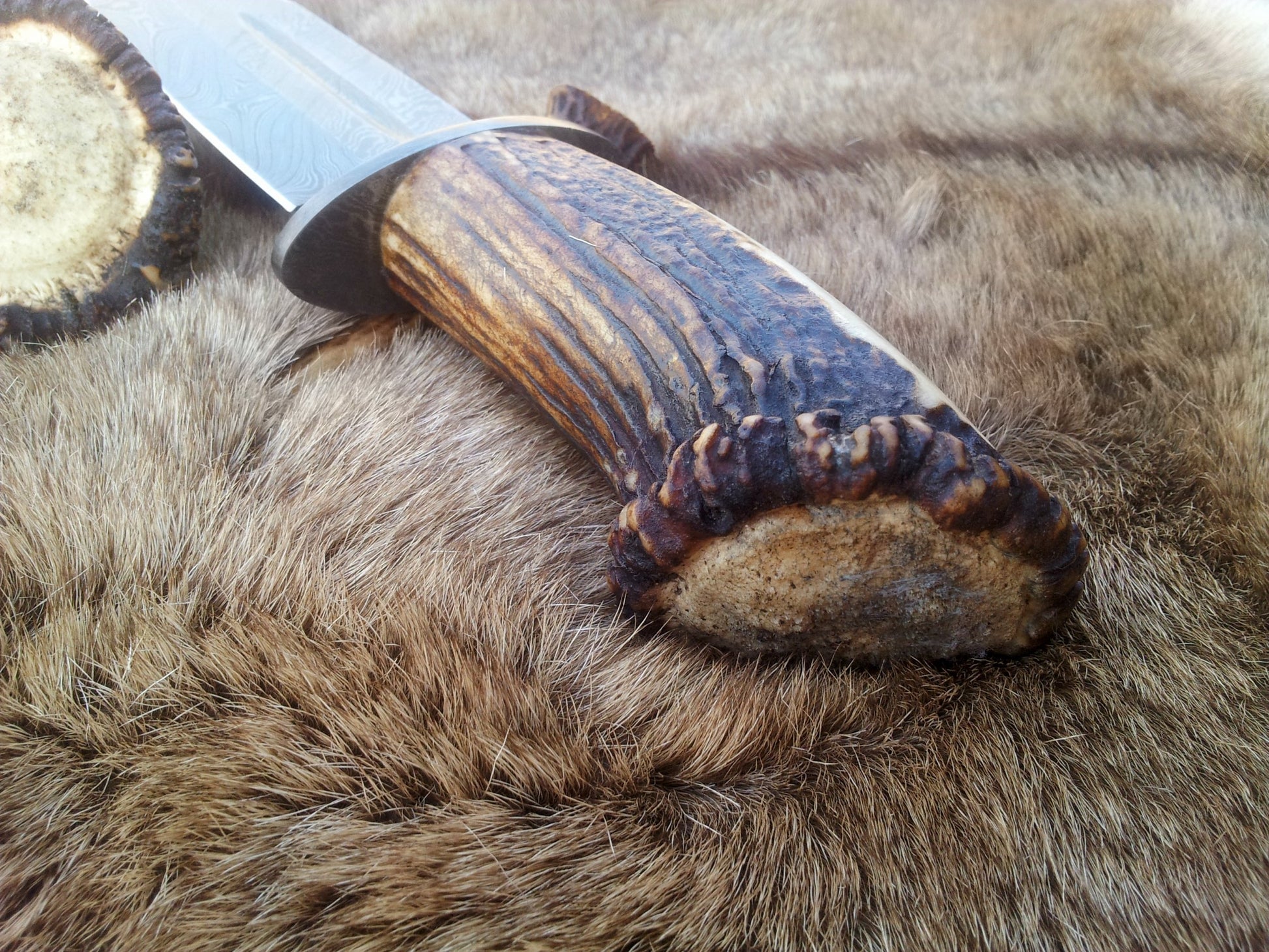 Custom Damascus Steel Bowie Knife with Blood Groove and Stag Horn Handle