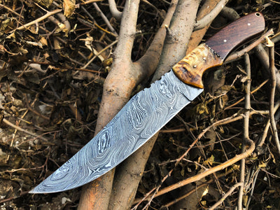 Custom Damascus Steel Hunting Bowie Knife with Rosewood & Sheep Horn Handle