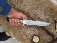 Steelstorm Bowie Knife featuring Olive Wood Handle with Brass Guard and Spacers