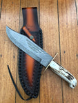 Deluxe Dundee Bowie Knife with Damascus Steel Blade and Antler Horn Handle - KBS Knives Store