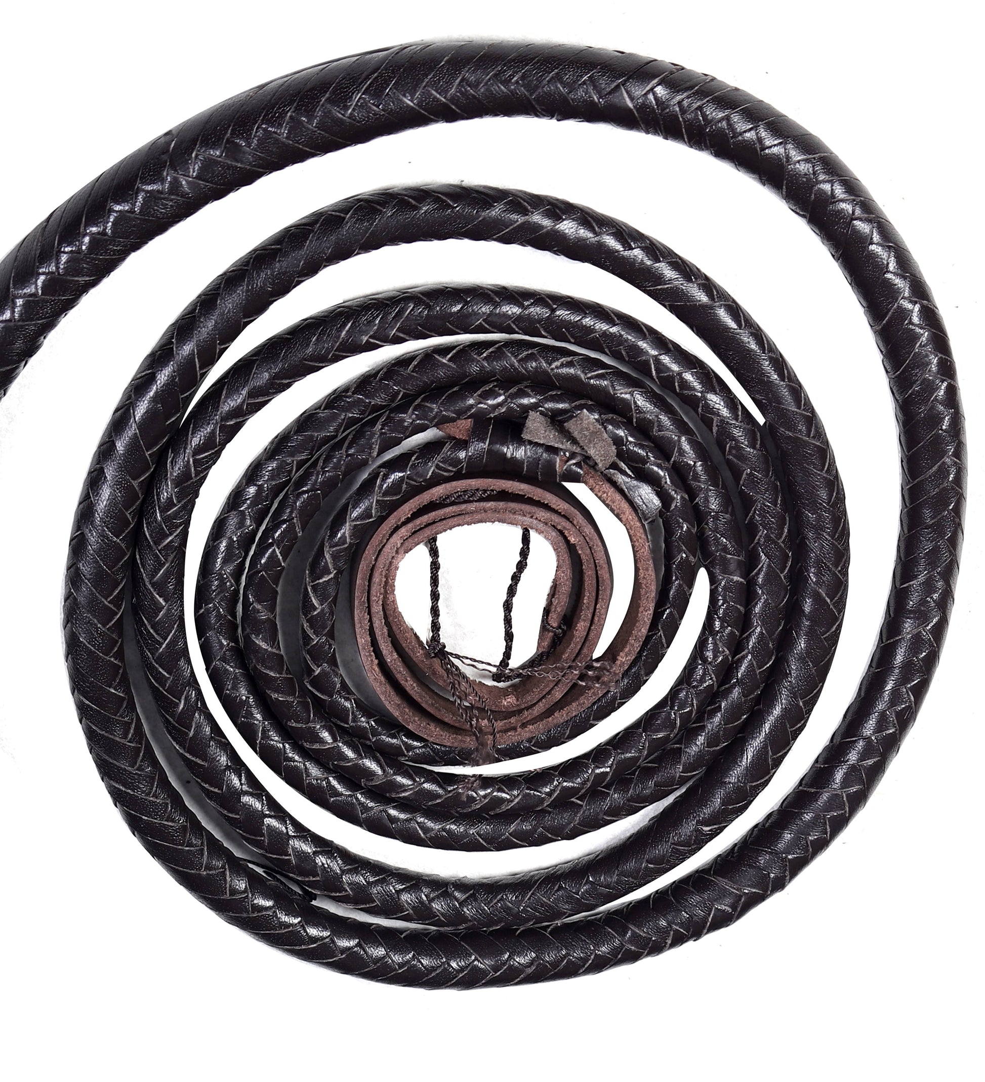 Bull whip measuring 8 feet from handle to end of braid, elegantly displayed in action.
