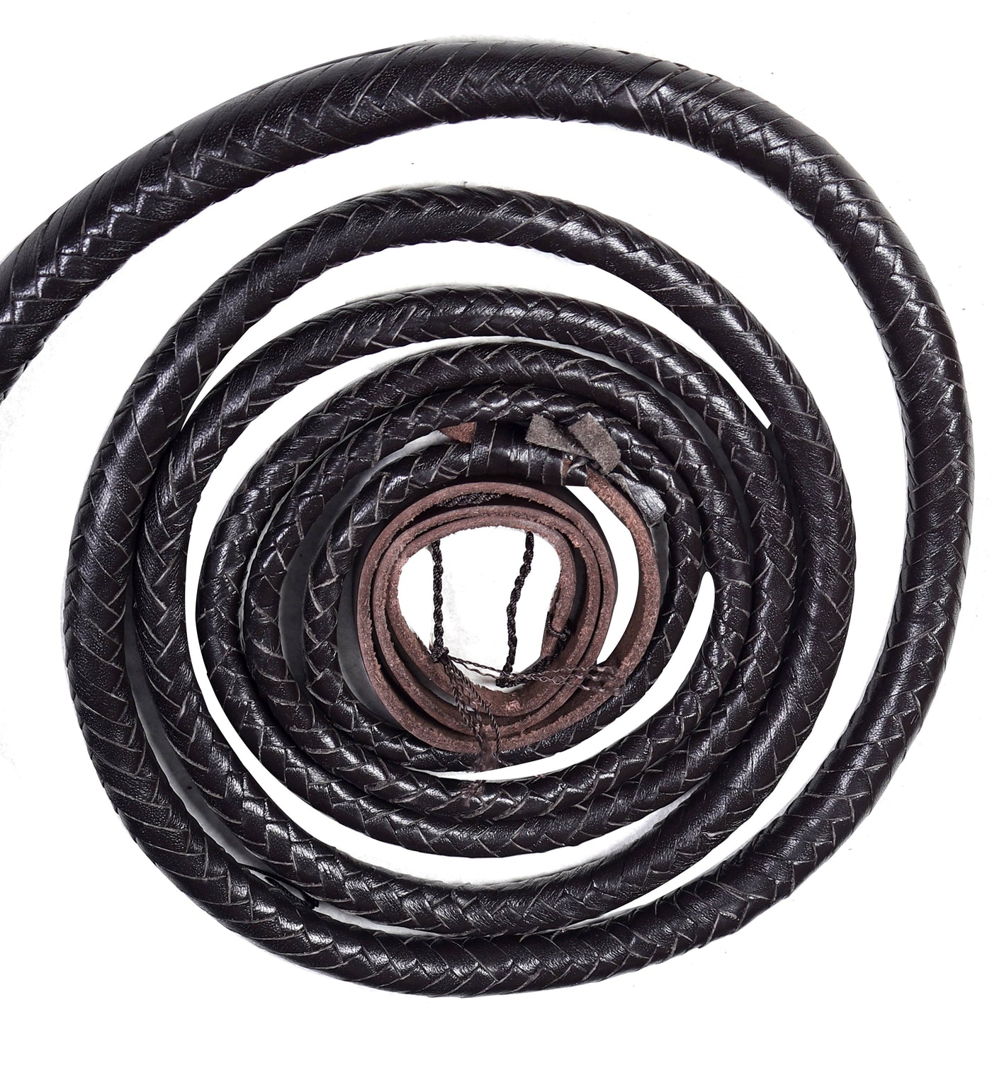 Bull whip measuring 8 feet from handle to end of braid, elegantly displayed in action.
