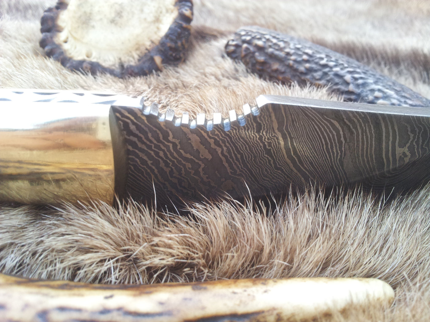 Close-up of the 3.5-inch Damascus steel blade on a custom deer skinning knife.
