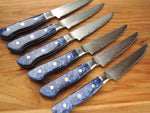 6 PCS Steak Knives Set