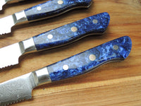 6 PCS Steak Knives Set