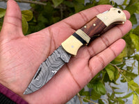 Custom Handmade Damascus Steel Small Folding Pocket Knife with Bone, Rosewood, and Brass Bolsters Handle and Leather Case by KBS Knives Store