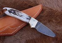 "Custom Handmade California Coyote Cowboy Knife with Damascus Blade and Antler Horn-Steel Bolster Handle, 6.25 Inches, and Leather Sheath, Available at KBS Knives Store"