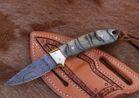 "Custom Handmade California Coyote Cowboy Knife with Damascus Blade and Sheep Horn-Brass Bolster Handle, 6.25 Inches, and Leather Sheath, Available at KBS Knives Store"