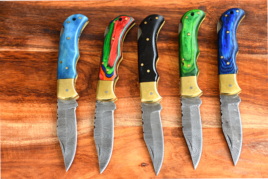 "Back Lock Mechanism Folding Pocket Knife with 5 Variants of Handle Materials and Brass Bolster, 3-inch Blade Length, and Leather Case by KBS Knives Store"